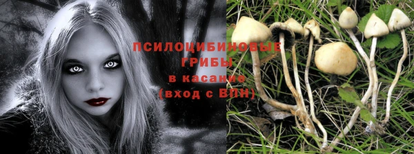 spice Алексин