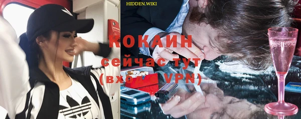 ешки Алексеевка