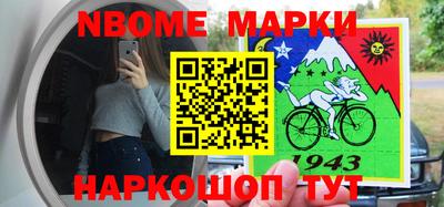 амф Донской