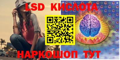амф Донской