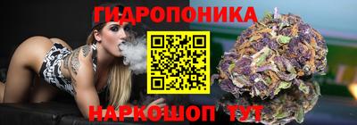 амф Донской